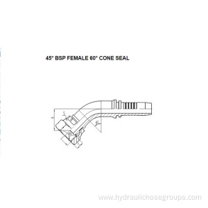 45° BSP Female 60° Cone Seal 22641